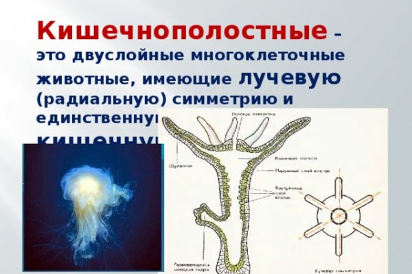 Кракен сайт 13at