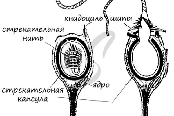 Кракен найти сайт