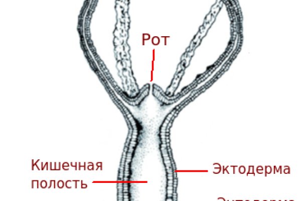 Kra40.gl